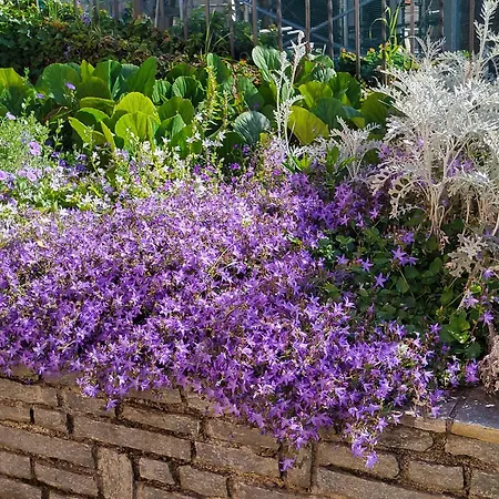 Appartement Casa Intignano - Con Bagno E Portico Vista