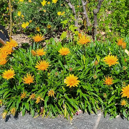 Casa Intignano - Con Bagno E Portico Vista Lejlighed *