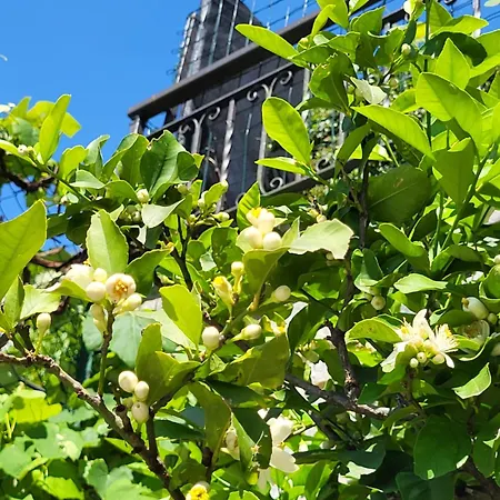 Lejlighed Casa Intignano - Con Bagno E Portico Vista *