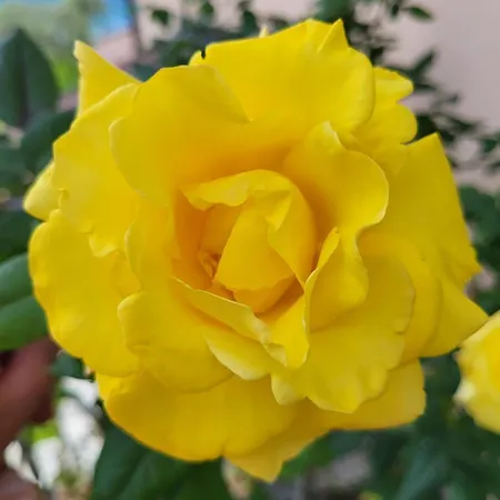 Casa Intignano - Con Bagno E Portico Vista Apartament *