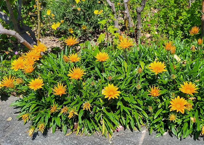 Casa Intignano - Con Bagno E Portico Vista Apartamento *