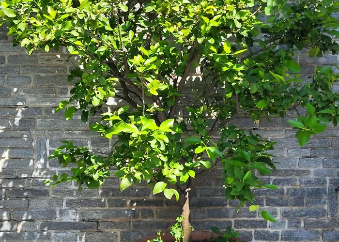 Casa Intignano - Con Bagno E Portico Vista Tremezzo