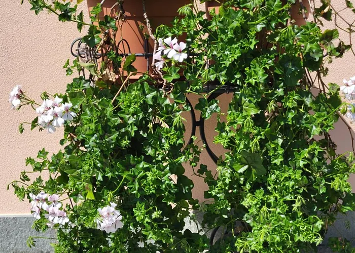 Apartamento Casa Intignano - Con Bagno E Portico Vista