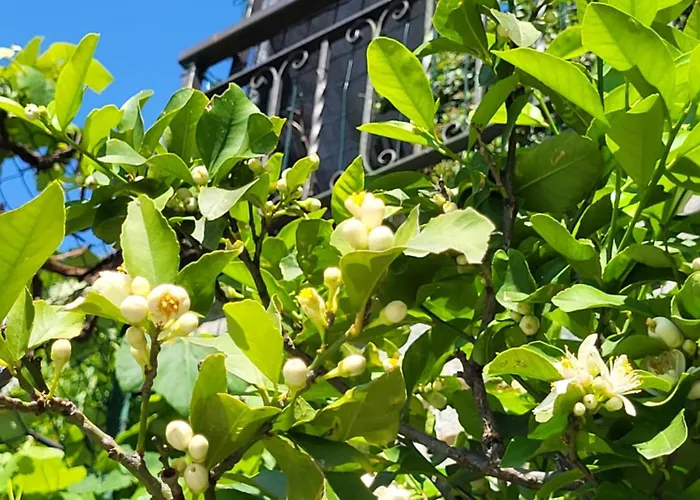 Apartamento Casa Intignano - Con Bagno E Portico Vista *
