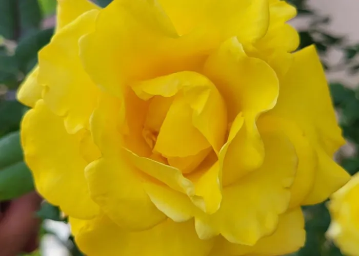 Casa Intignano - Con Bagno E Portico Vista Apartamento *