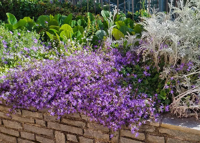 Apartamento Casa Intignano - Con Bagno E Portico Vista