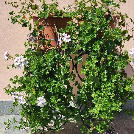 דירה Casa Intignano - Con Bagno E Portico Vista