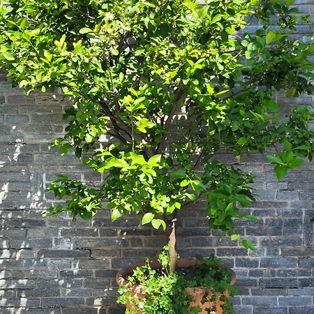 Casa Intignano - Con Bagno E Portico Vista 트레메쪼